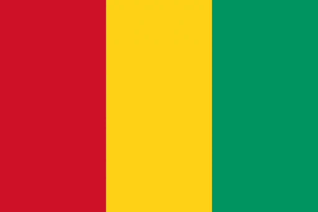 Guinea flag