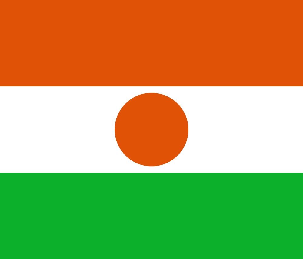 Niger flag